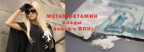 прущие грибы Архангельск
