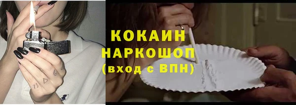 прущие грибы Архангельск